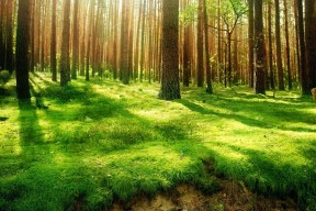 华体会网址-逆转神话，当迪亚斯在年度焦点之战中擦亮宿命箭头